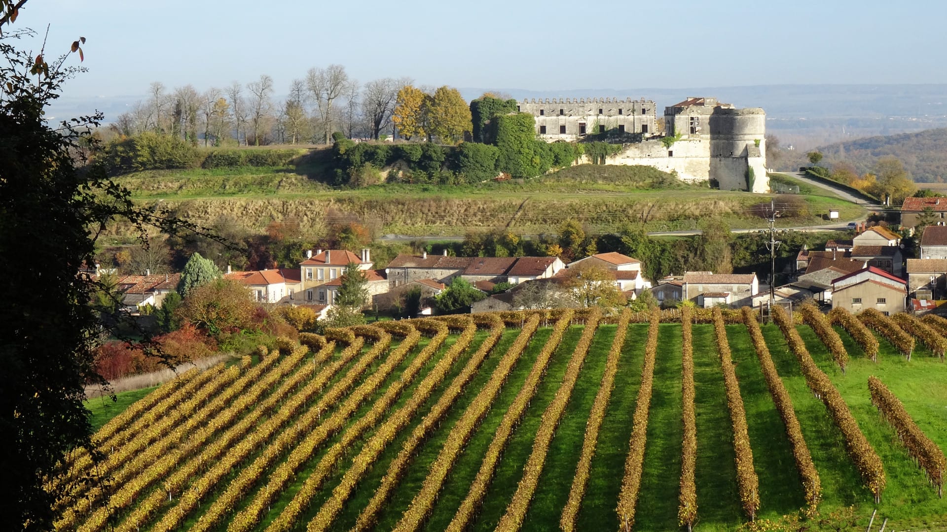 Un paysage viticole en Charente en automne avec des vignes au premier plan et un château en arrière plan Un paysage viticole en Charente en automne avec des vignes au premier plan et un château en arrière plan